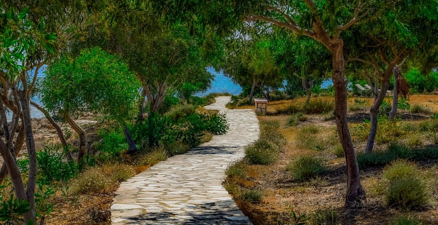 Head out for the Cyprus Walking Festival 2019